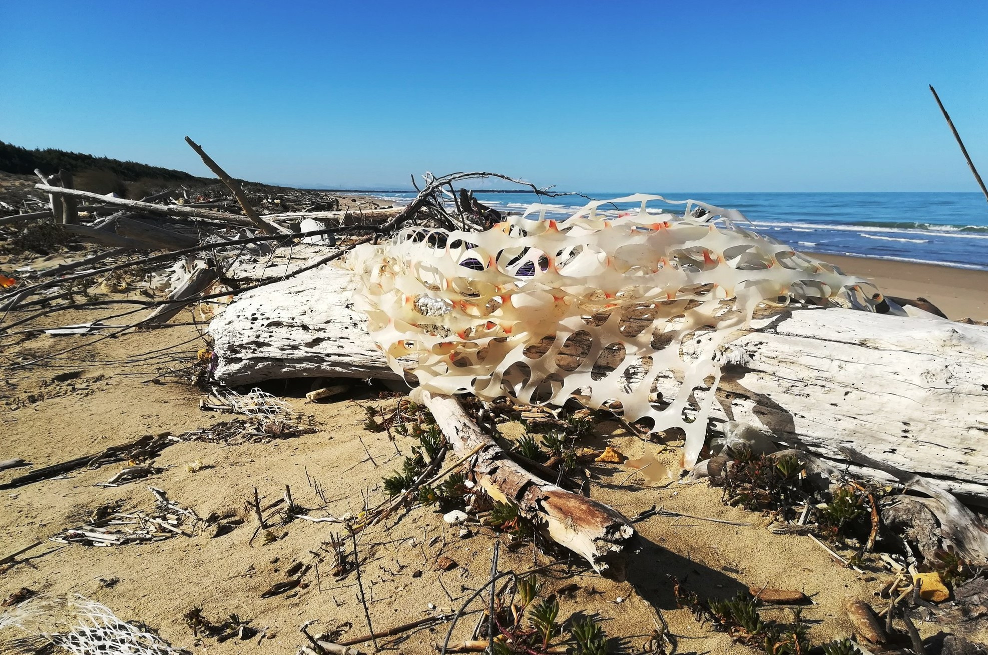 GEP 2022 - Mare Nostrum – Una risorsa da proteggere - Monitorare le micro plastiche