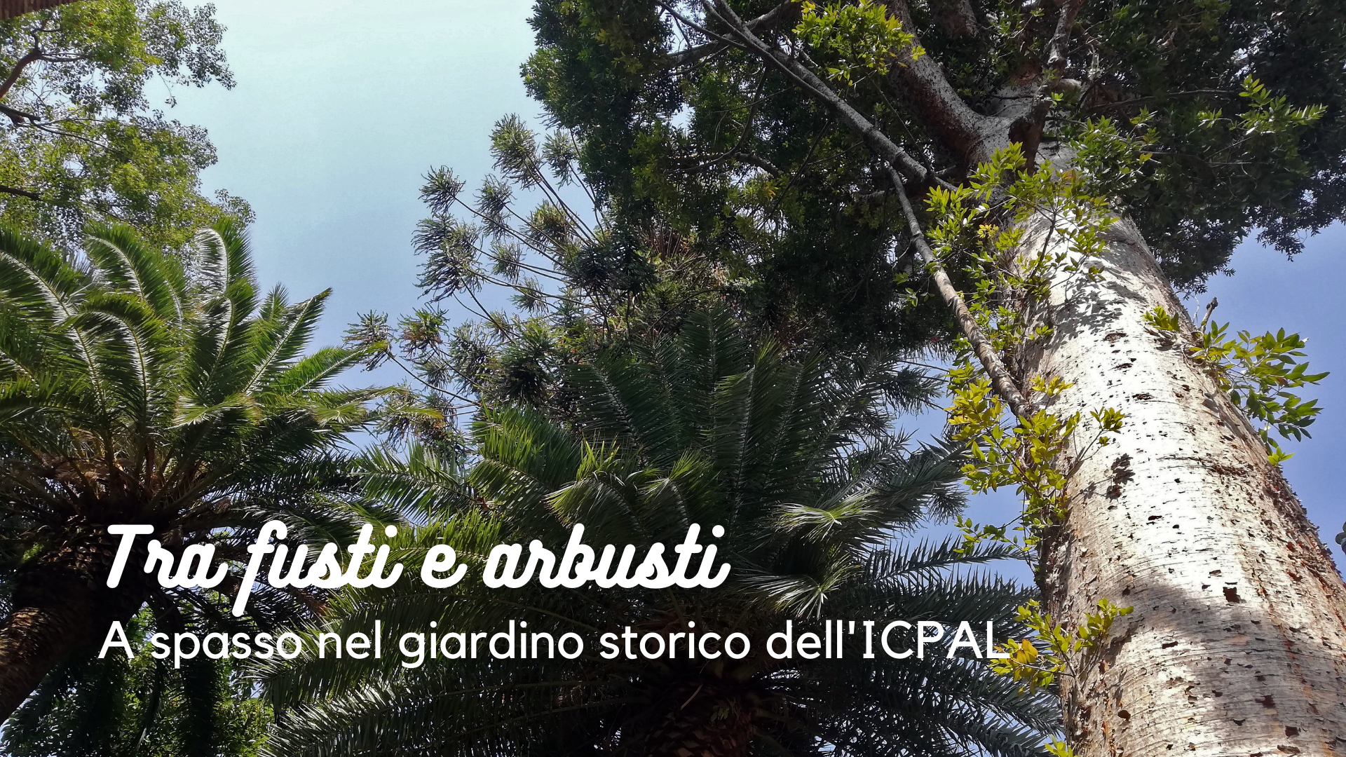 Giornate Europee del Patrimonio - Apertura straordinaria